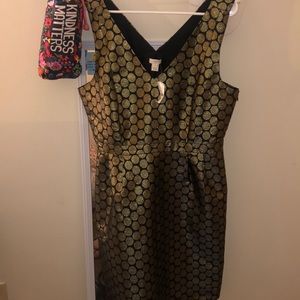 J. Crew dress with pockets!